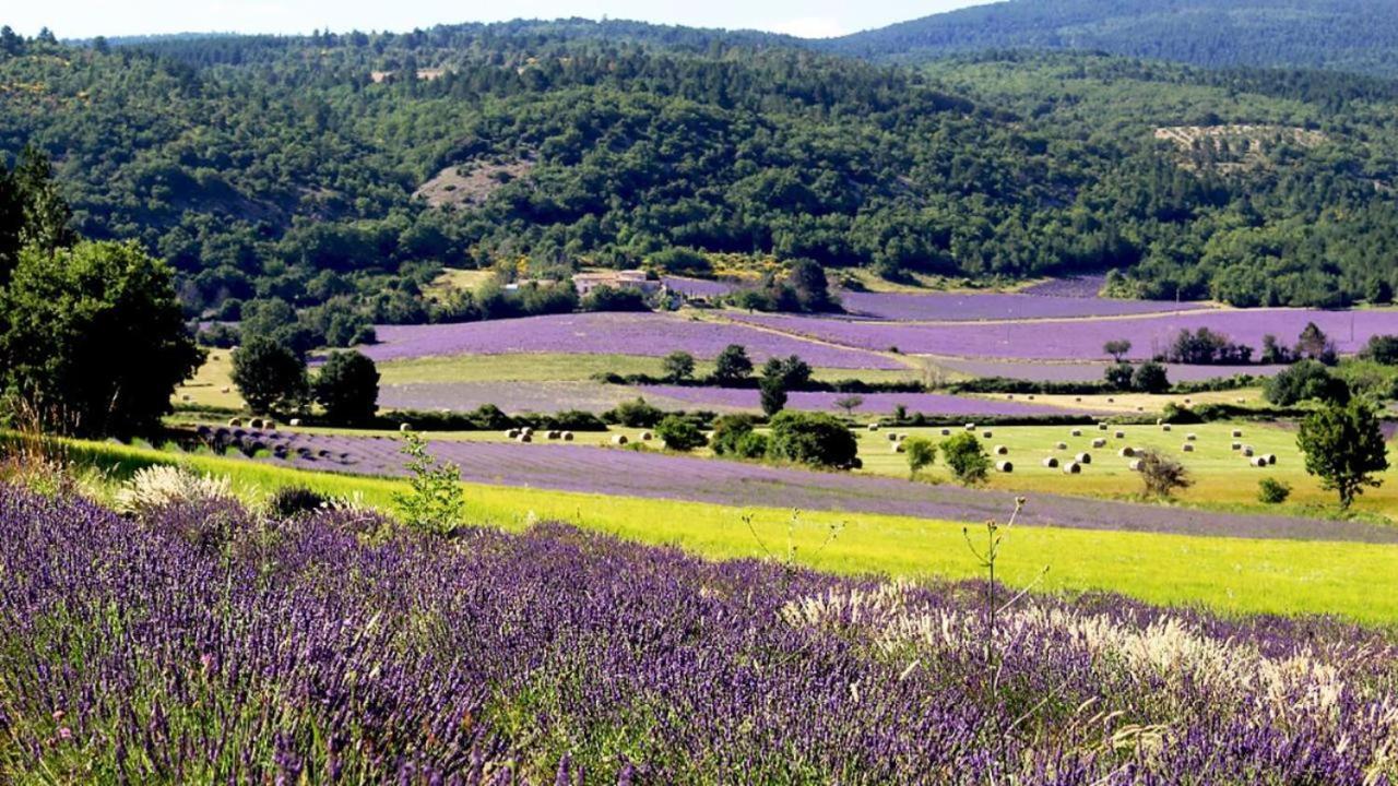 De Charme Piscine Et En Provence