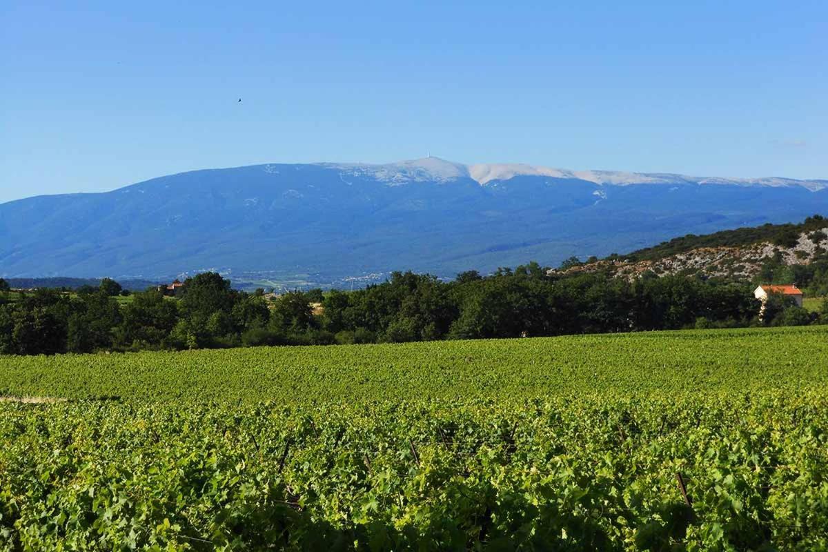 De Charme Piscine Et En Provence
